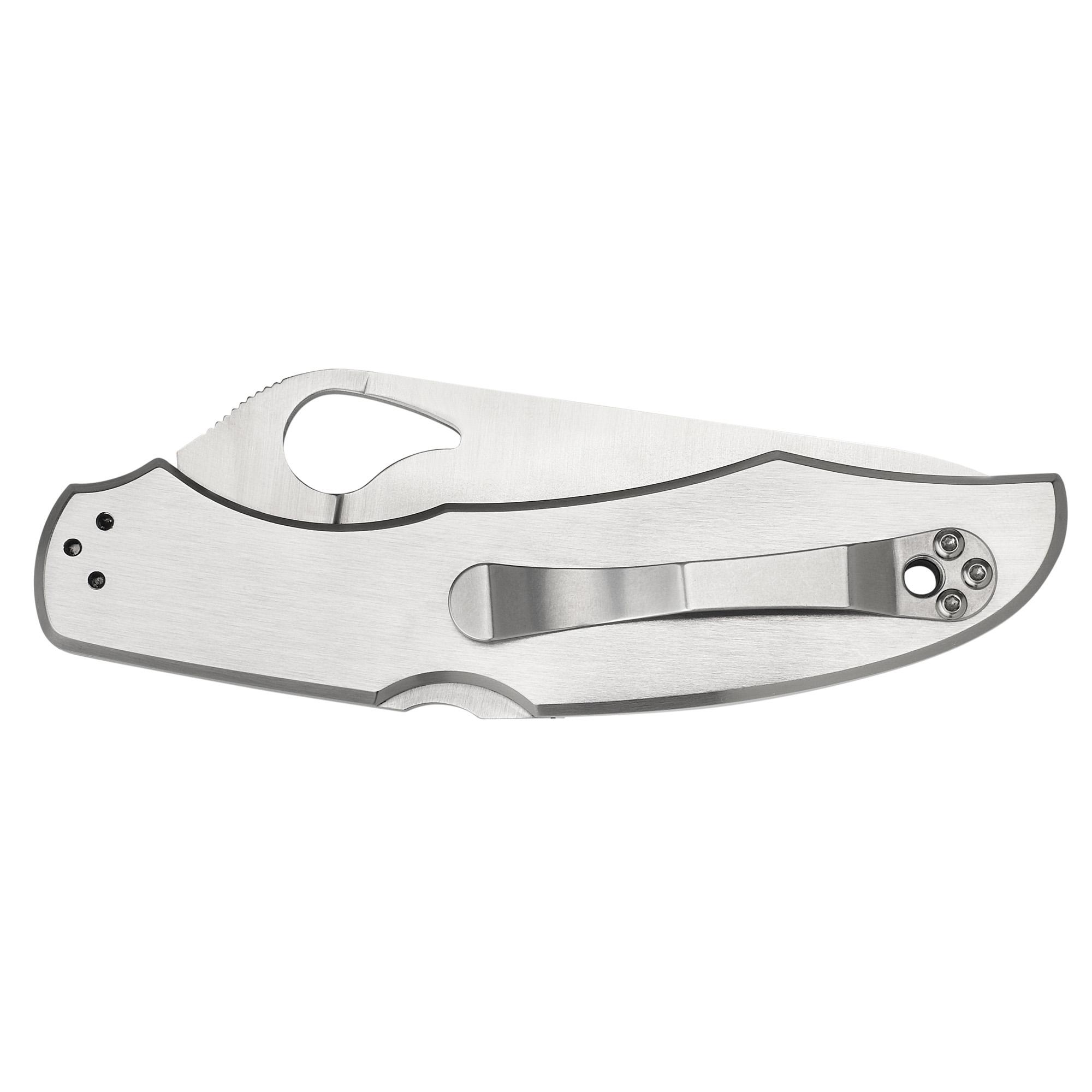 SPYDERCO BYRD CARA CARA 3.75" - Image 2
